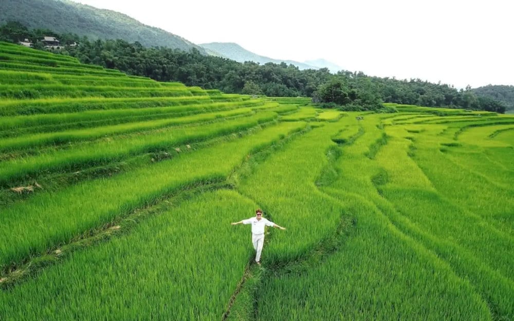 Mùa lúa mới tại Pù Luông